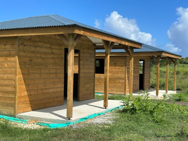 Construire ou rénover ? Que choisir pour votre maison en Guadeloupe ?
